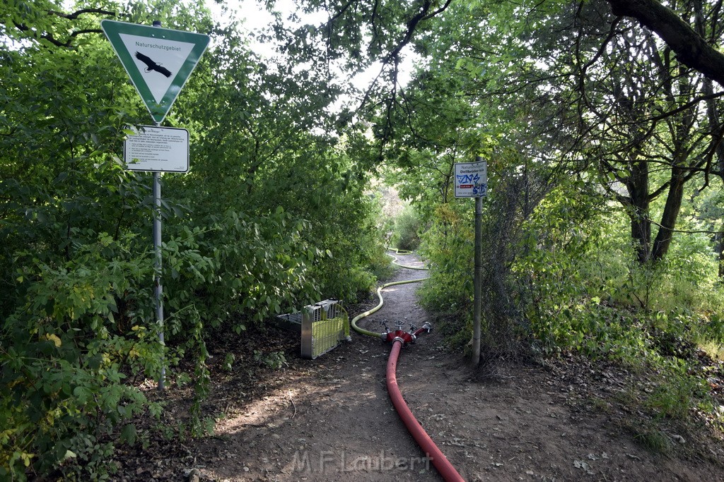 Waldbrand Koeln Hoehenhaus Hoehenfelder Mauspfad P082.JPG - Miklos Laubert